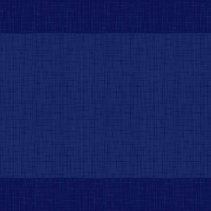 MANTEL DUNI 30 X 40 AZUL OSCU 500 U R.148985 MANTEL DUNI 30 X 40 AZUL OSCU 500 U R.148985