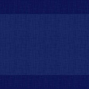 MANTEL DUNI 30 X 40 AZUL OSCU 500 U R.148985 MANTEL DUNI 30 X 40 AZUL OSCU 500 U R.148985
