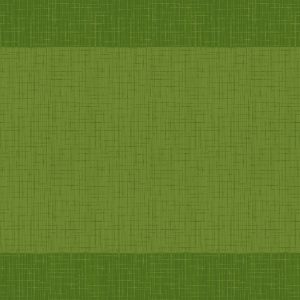 MANTEL DUNI 30 X 40 VERDE PALMA 100 U. RF.156870 MANTEL DUNI 30 X 40 VERDE PALMA 100 U. RF.156870