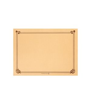 MANTELES INDIVIDUAL DECORADO 31 X 43 SALMON 500 U. MANTELES INDIVIDUAL DECORADO 31 X 43 SALMON 500 U.